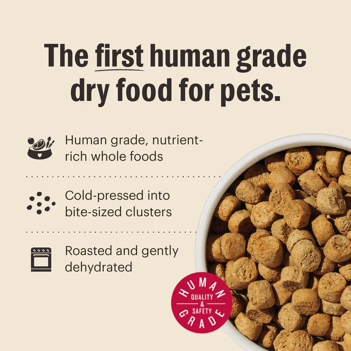 The Honest Kitchen Grain Free Beef Whole Food Clusters