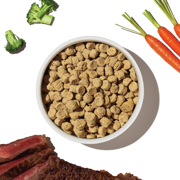 The Honest Kitchen Grain Free Beef Whole Food Clusters for Small Breeds