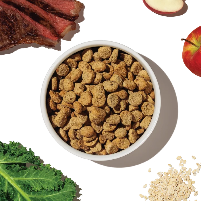 The Honest Kitchen Whole Grain Beef &amp; Oat Whole Food Clusters