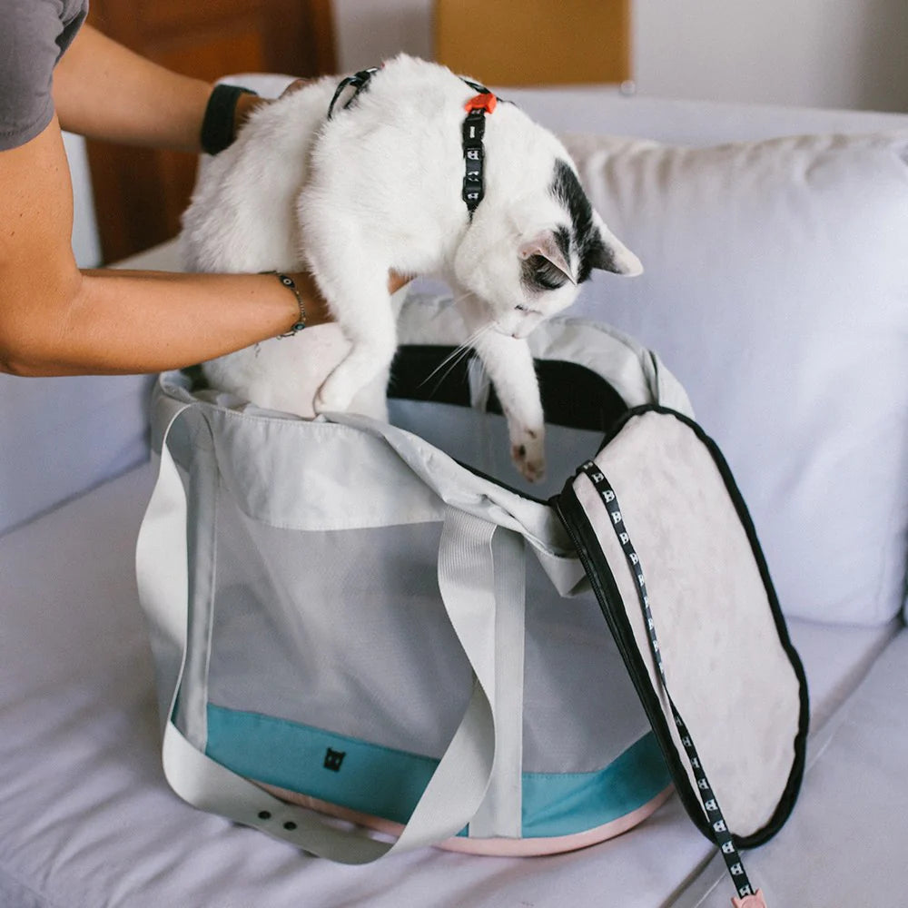 Zee.Dog Cat Carrier Bag – The Modern Dog Company Store Zee.Dog Cat Carrier Bag – The Modern Dog Company Store