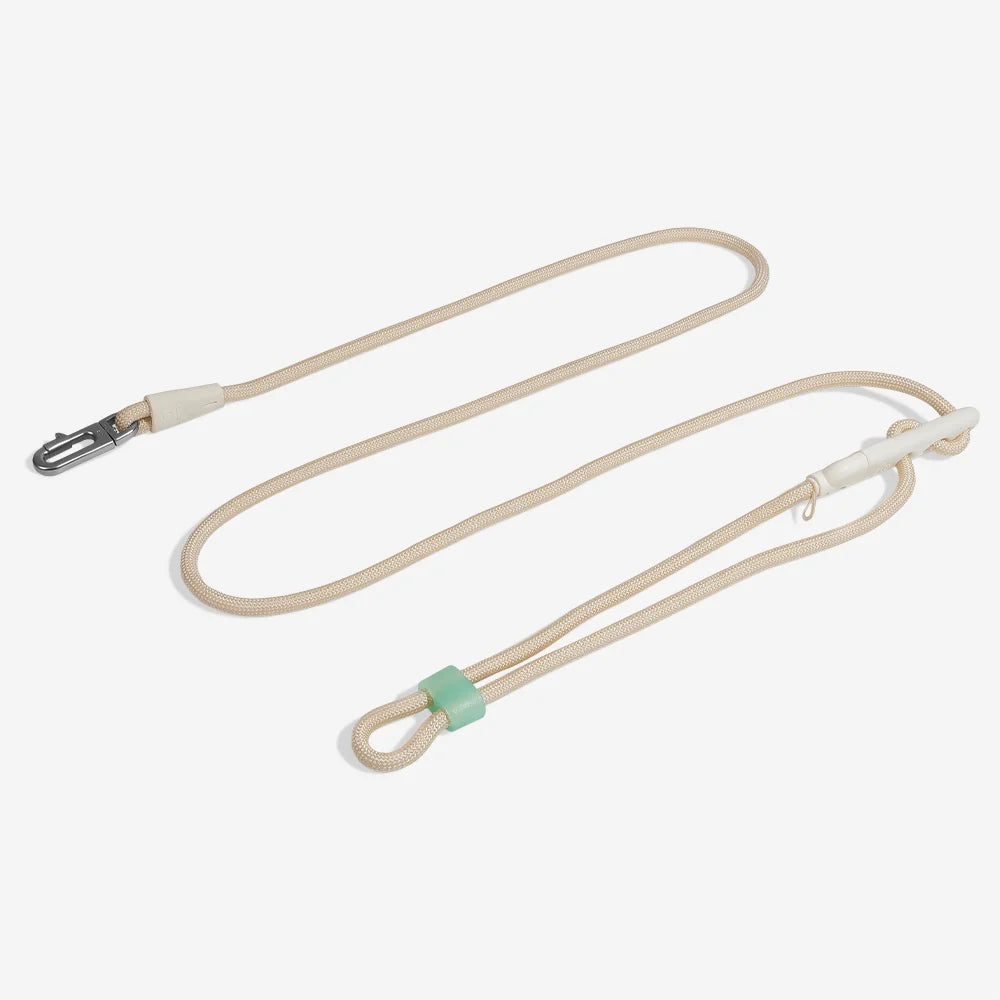 Hand free leashes dogs hot sale