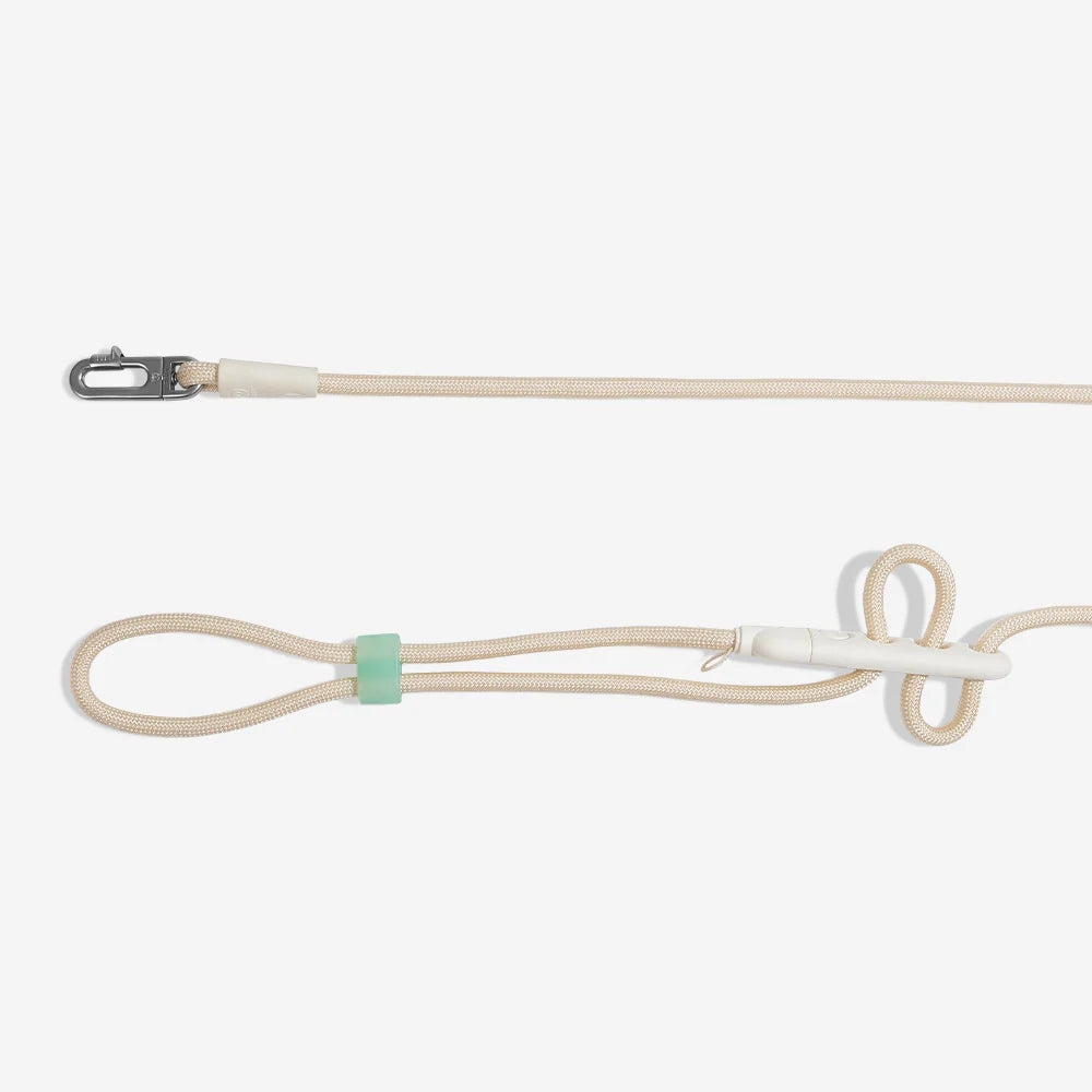 Zee.Dog HandsFree Multifunctional Leash The Modern Dog Company Store