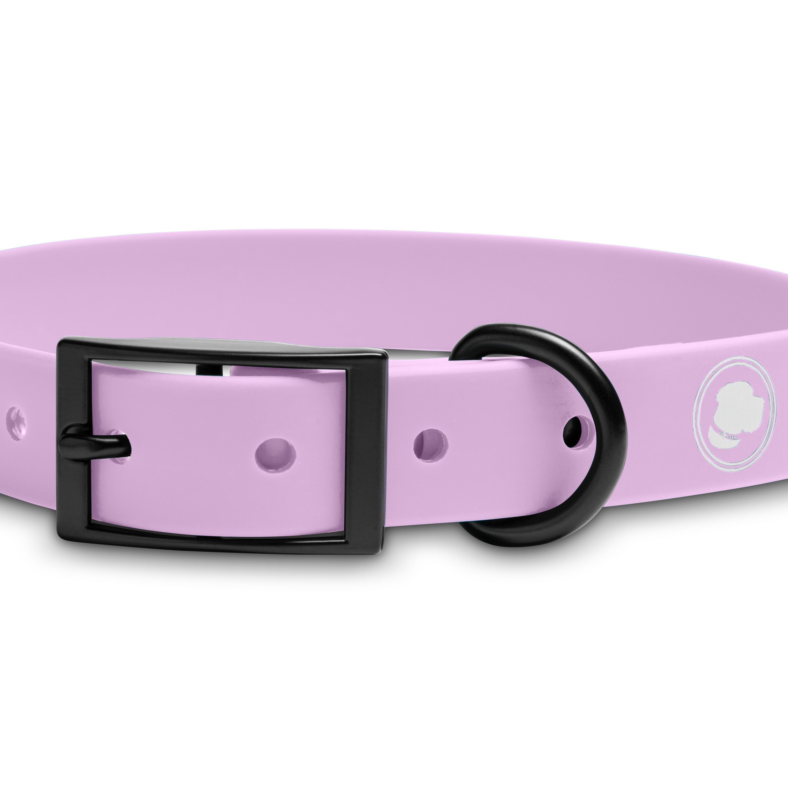 The Modern Dog Company - Blush Pink Collar (Weather + Odor Resistant)