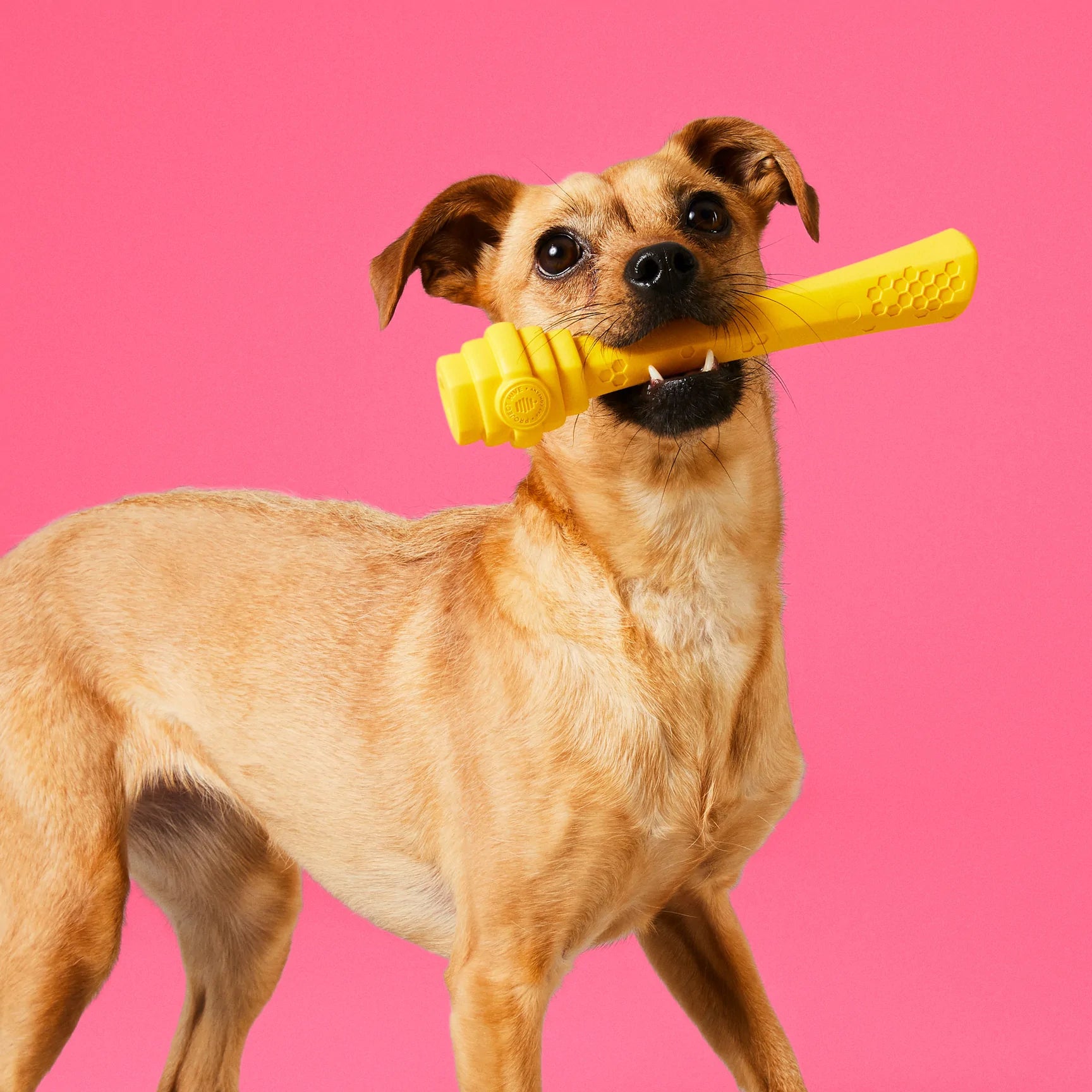 Project Hive Floating Fetch Stick