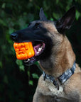 Sodapup Halloween Jack O'Lantern Treat Dispenser