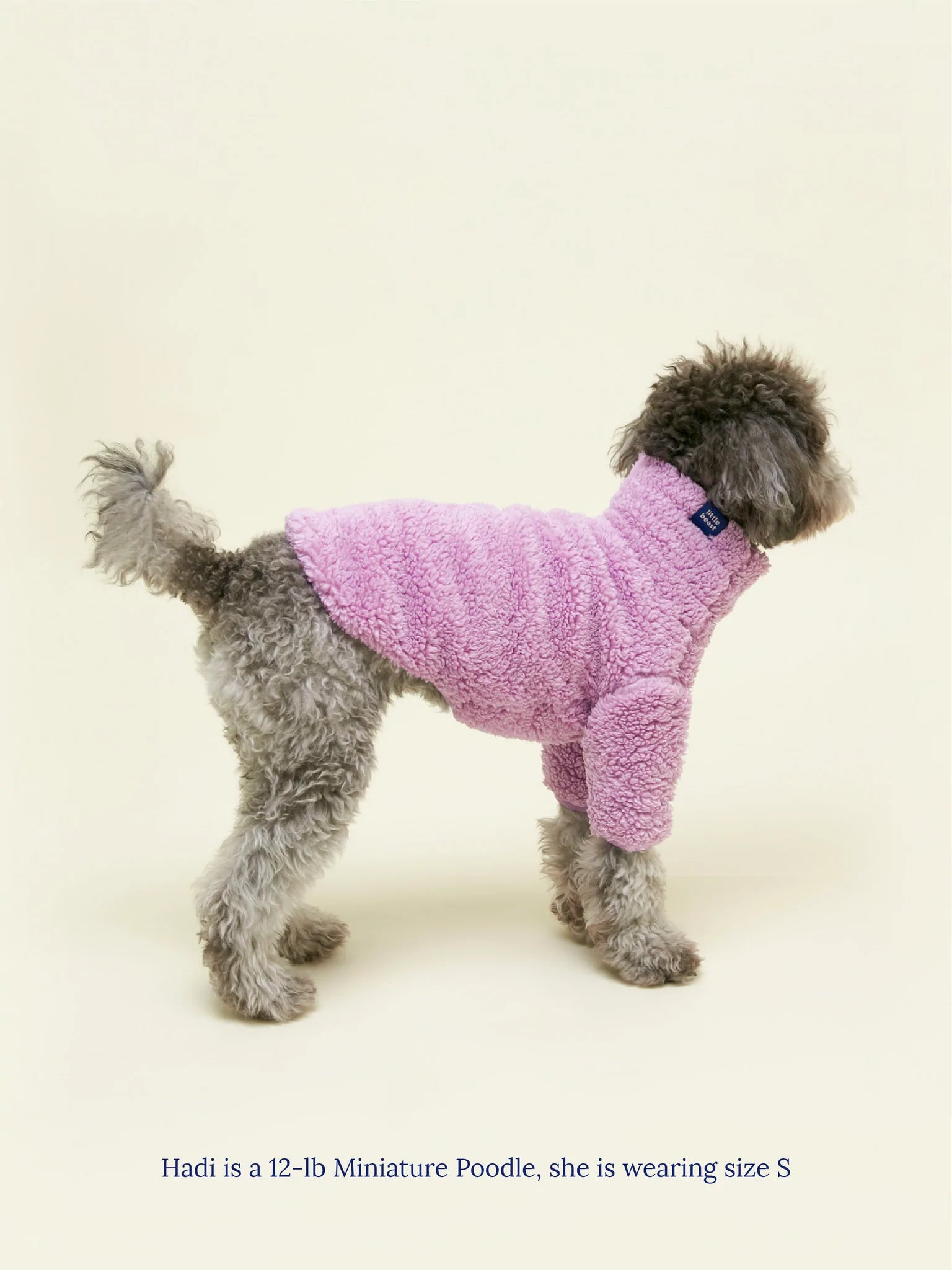 Little Beast Co. Fleece Sweatshirt - Purple Disco