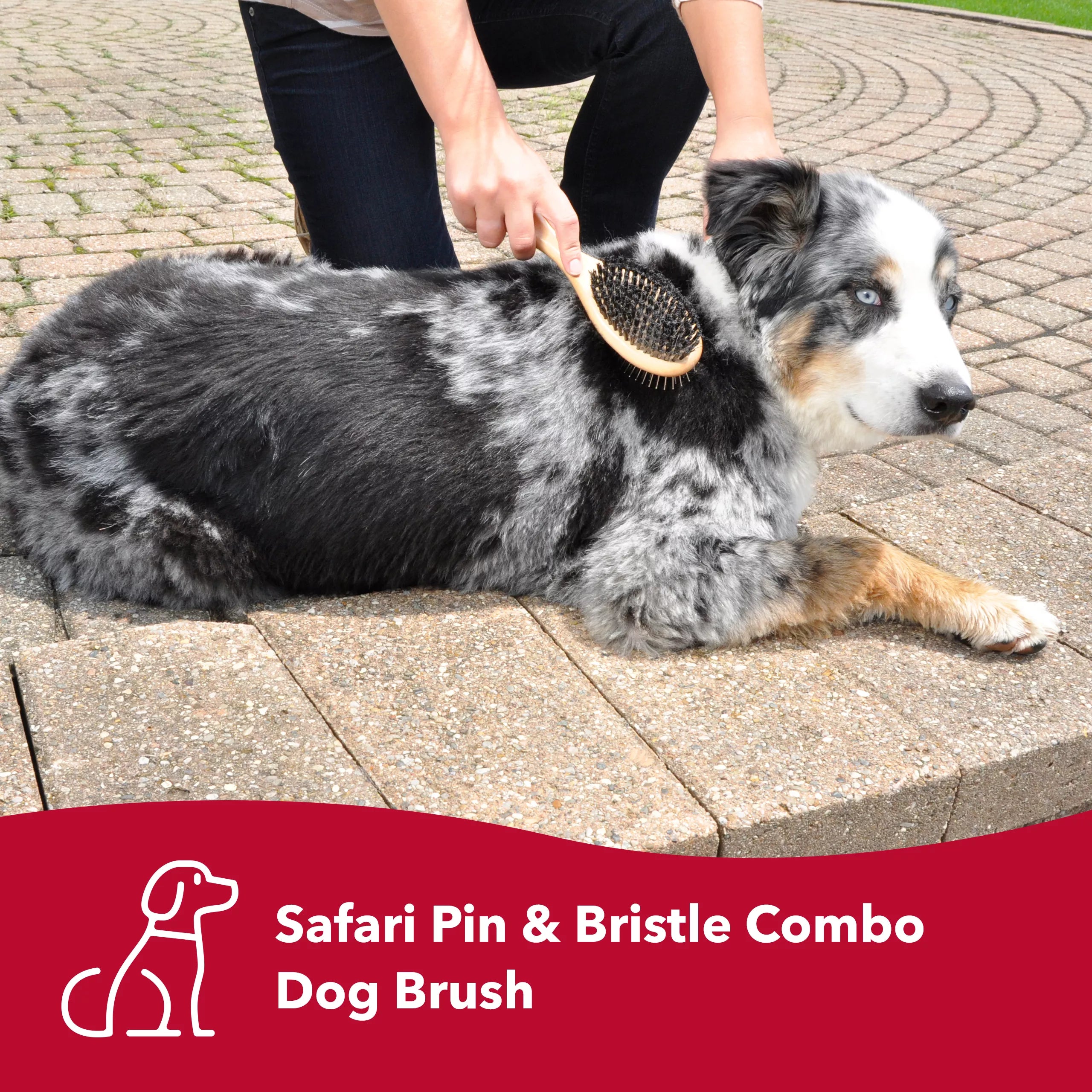Safari combo brush for dogs hotsell