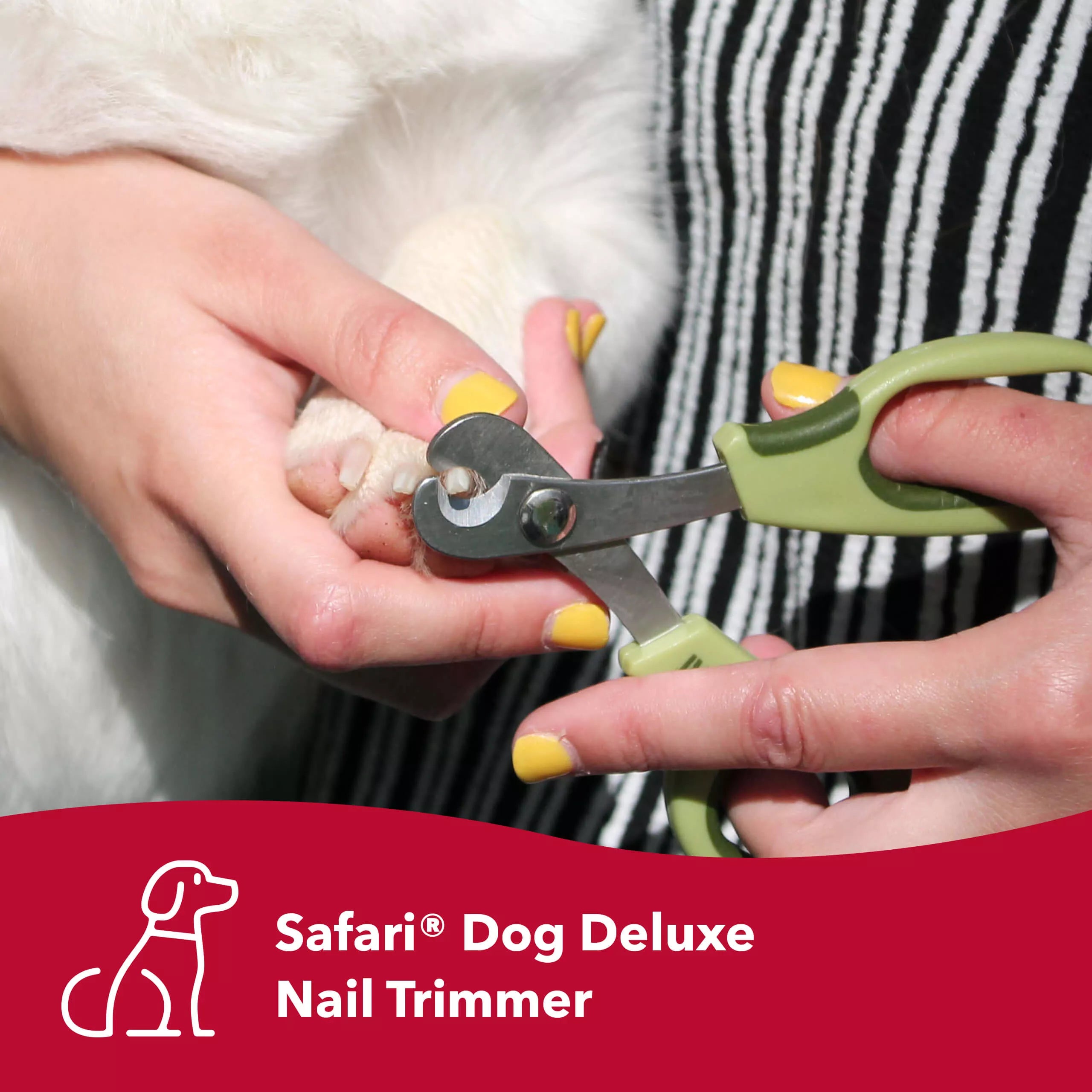 Safari Dog Nail Trimmer Deluxe - Small Dog
