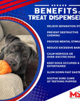 Sodapup Halloween Jack O'Lantern Treat Dispenser