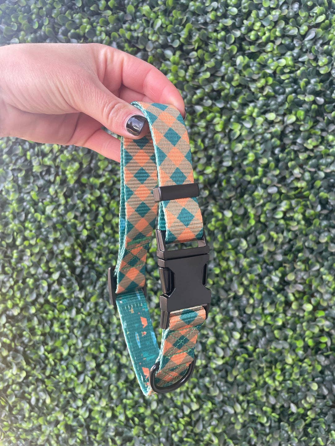 Camping dog hotsell collar
