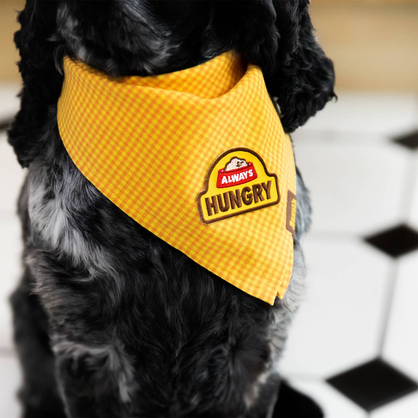 Scout's Honour - Always Hungry iron-on patch for dogs