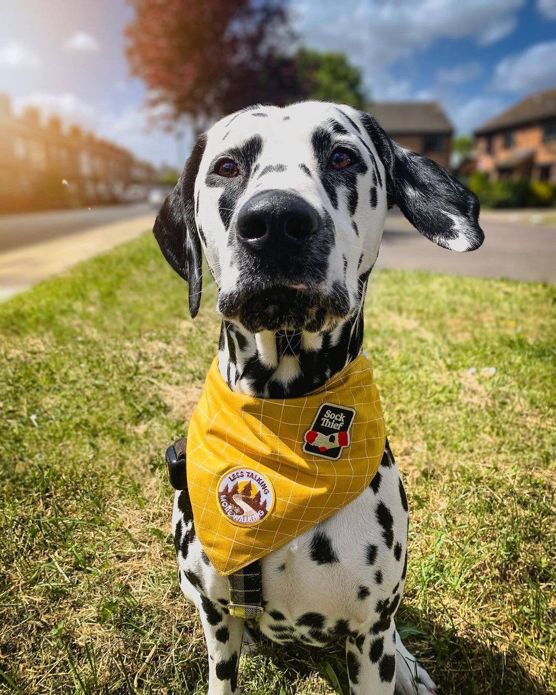 Scout&#39;s Honour - Less Talking More Walking iron-on patch for dogs