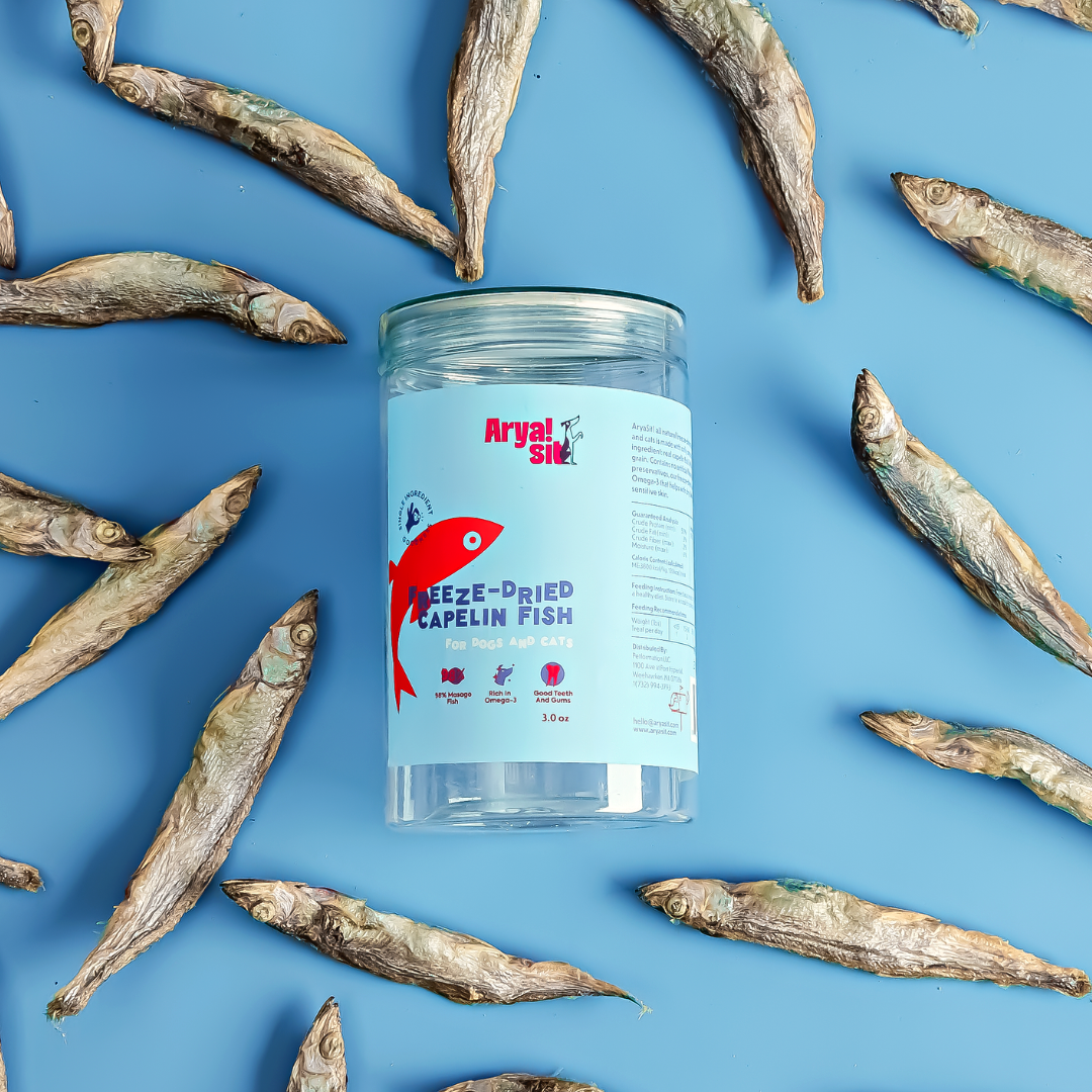 Arya Sit - Freeze-Dried Capelin