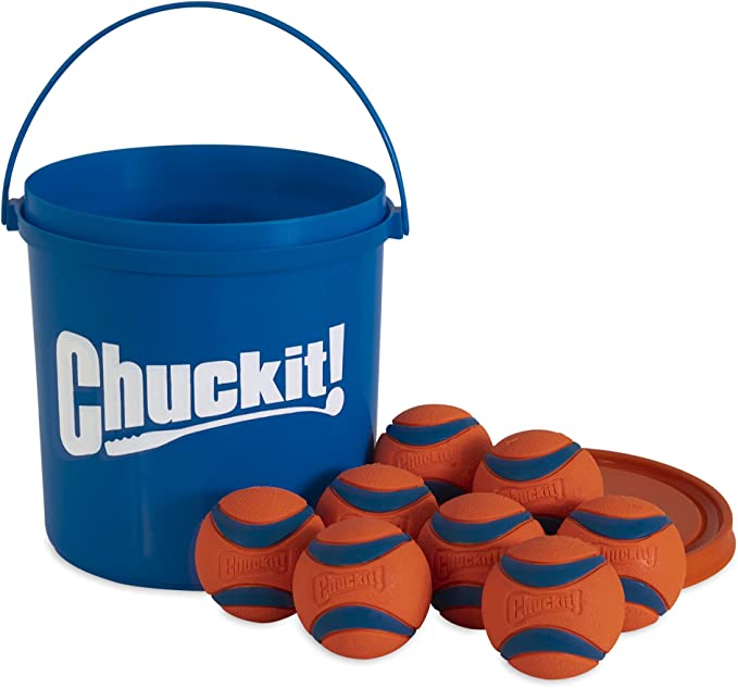 Chuckit!® Bucket - Medium Size 8 Pack With Cleaning Bucket