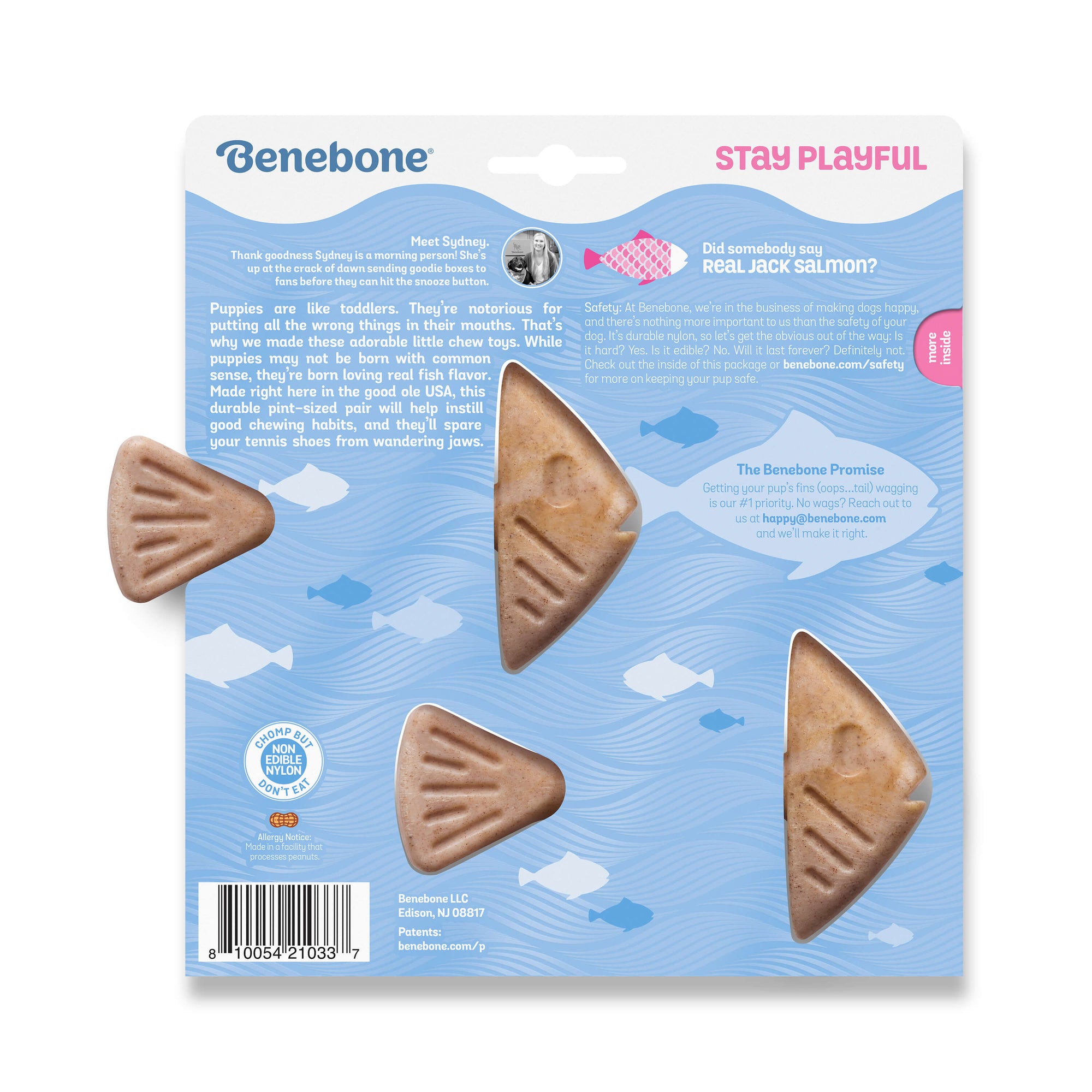 Benebone Fishbone Puppy 2/Pack – The Modern Dog Company Store
