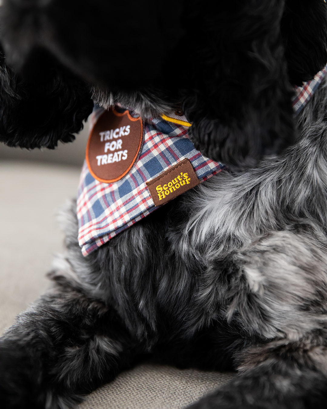 Scout&#39;s Honour - Tricks for Treats iron-on patch for dogs