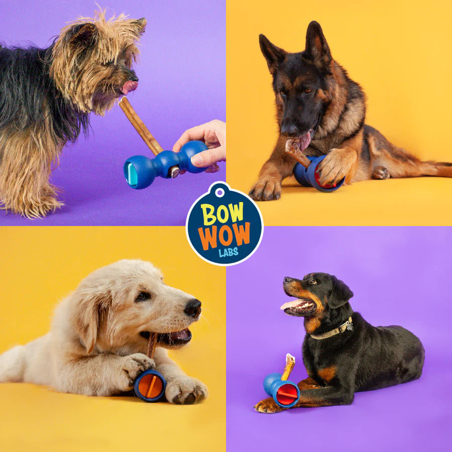 BowWow Labs - Bow Wow Buddy