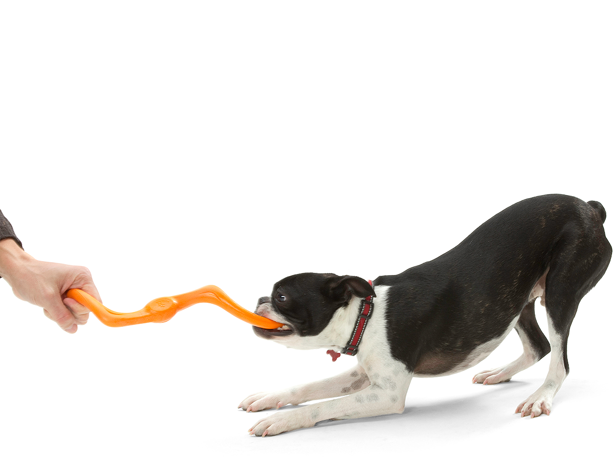West Paw Bumi® Toy