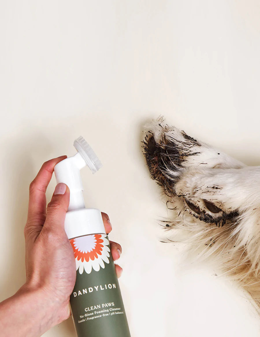 Dandylion No Rinse Paw Cleanser