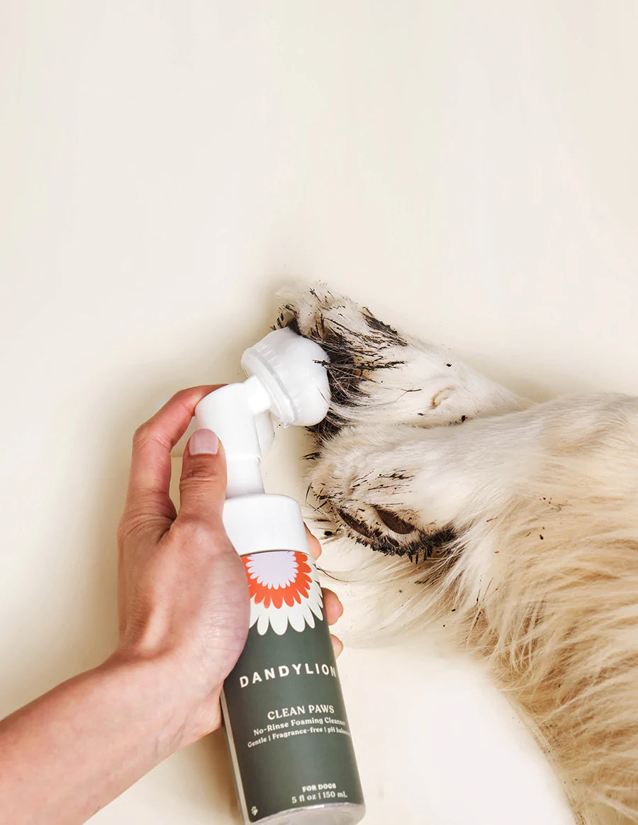 Dandylion No Rinse Paw Cleanser