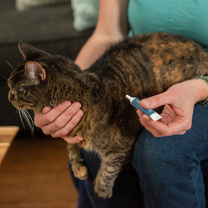 Wondercide Flea Tick Spot On for Dogs Cats