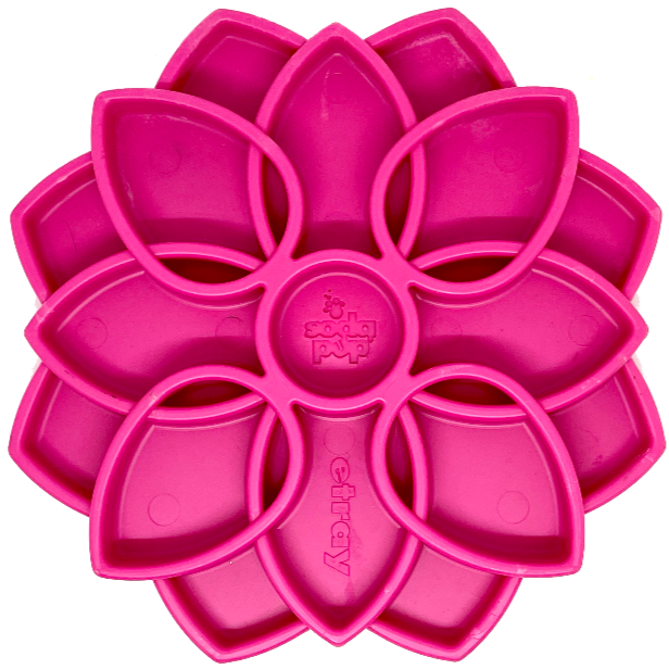 SodaPup Mandala Enrichment Tray