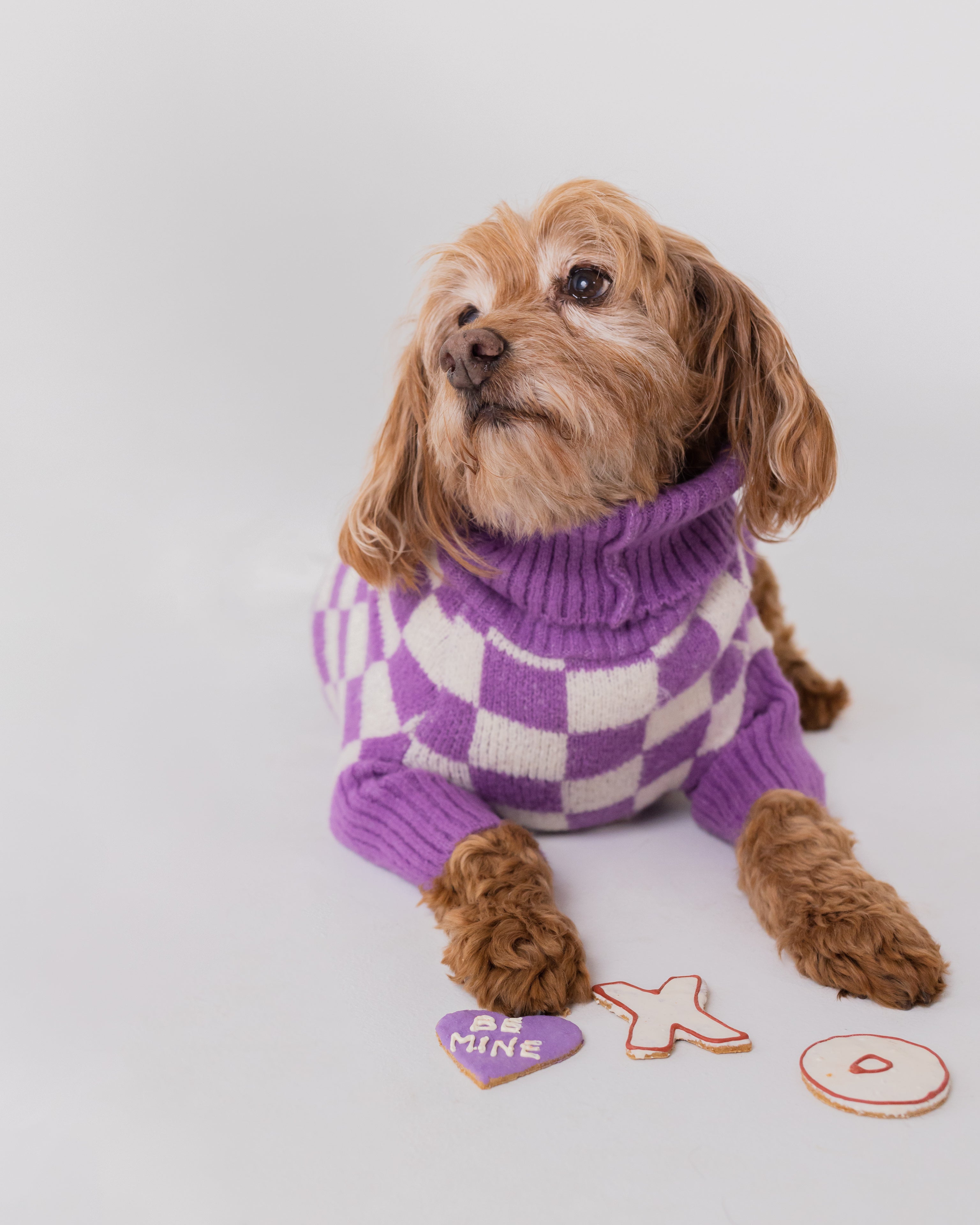 Little Beast Co. - Meet the Parents X Wray Sweater