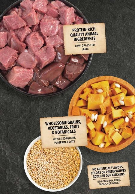 Acana Wholesome Grains - Lamb & Pumpkin