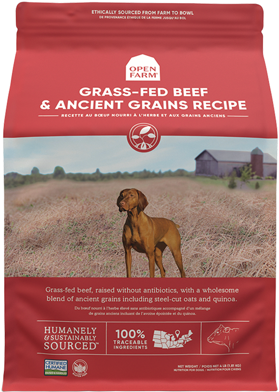 Ancient grains dog clearance food