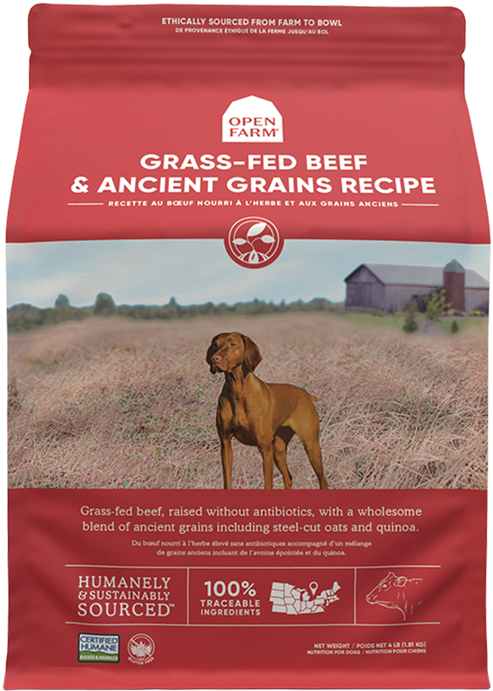 Open Farm Ancient Grain Dog Food - Beef Recipe