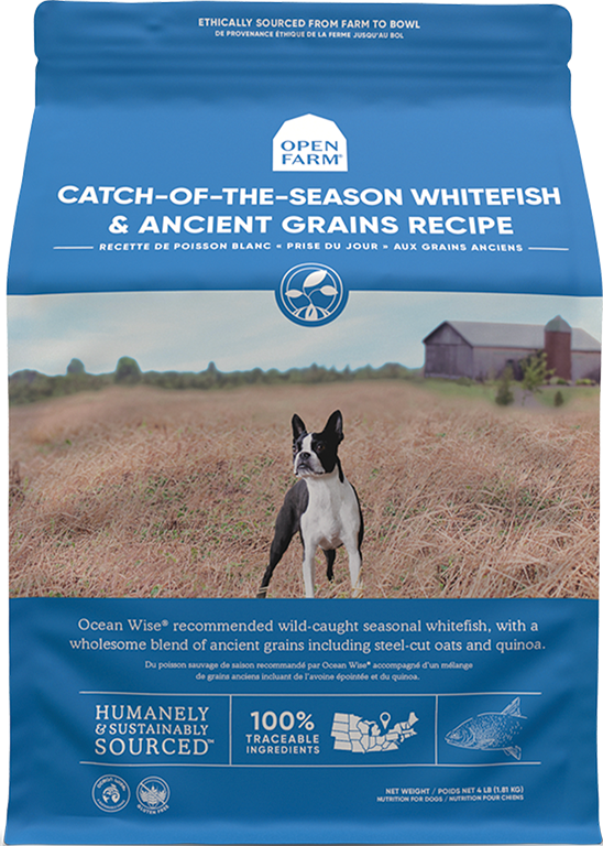 Wholesomes grain free online dog food whitefish