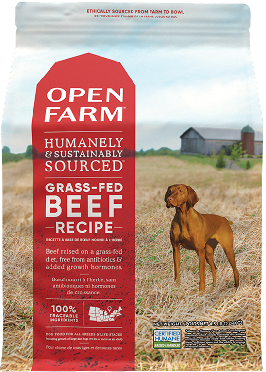Kirkland dog shop food turkey
