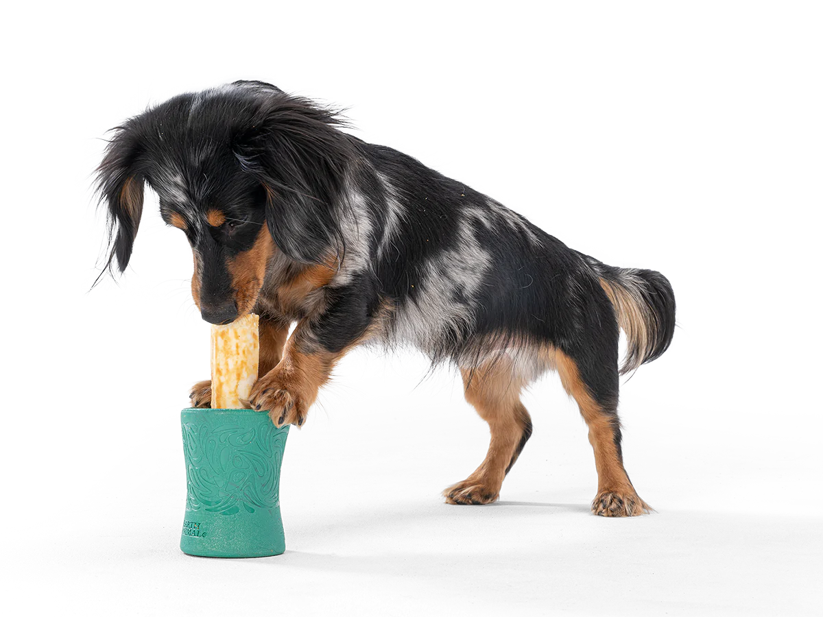 West Paw Funnl Toy
