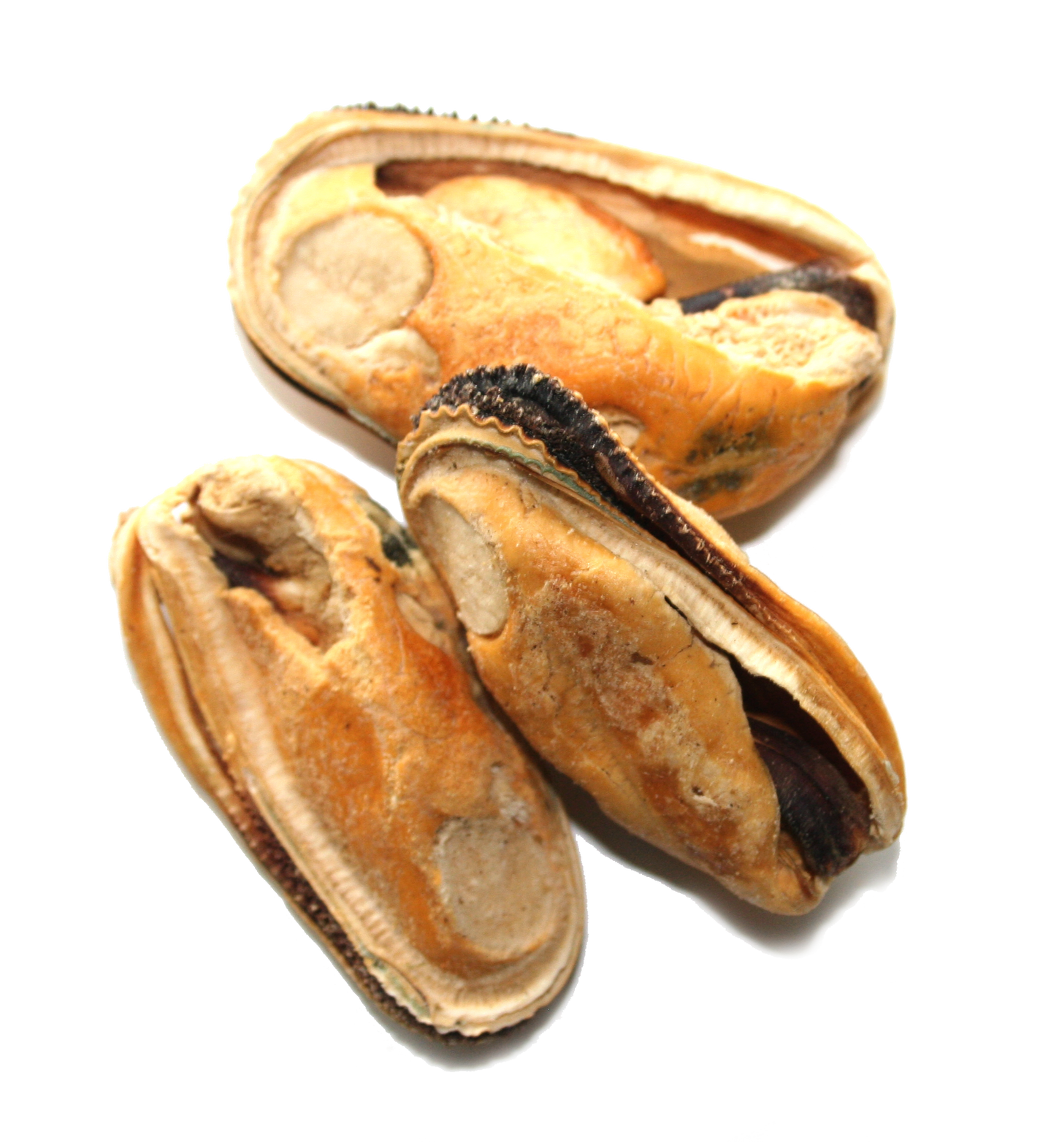 The NZ Natural Pet Food Co. - Freeze Dried Green Mussels