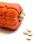 Sodapup Halloween Jack O'Lantern Treat Dispenser