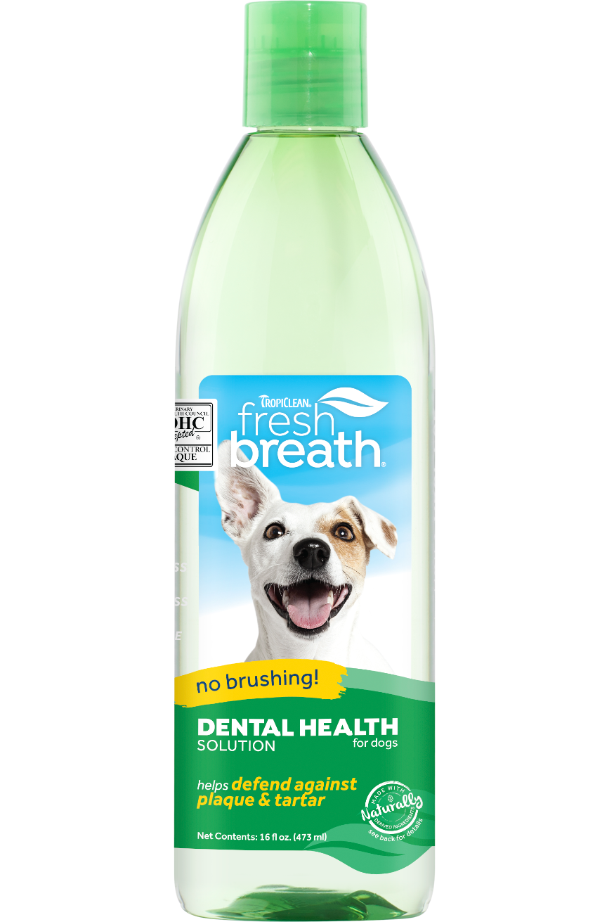 The Breath Co., Oral Care Solutions