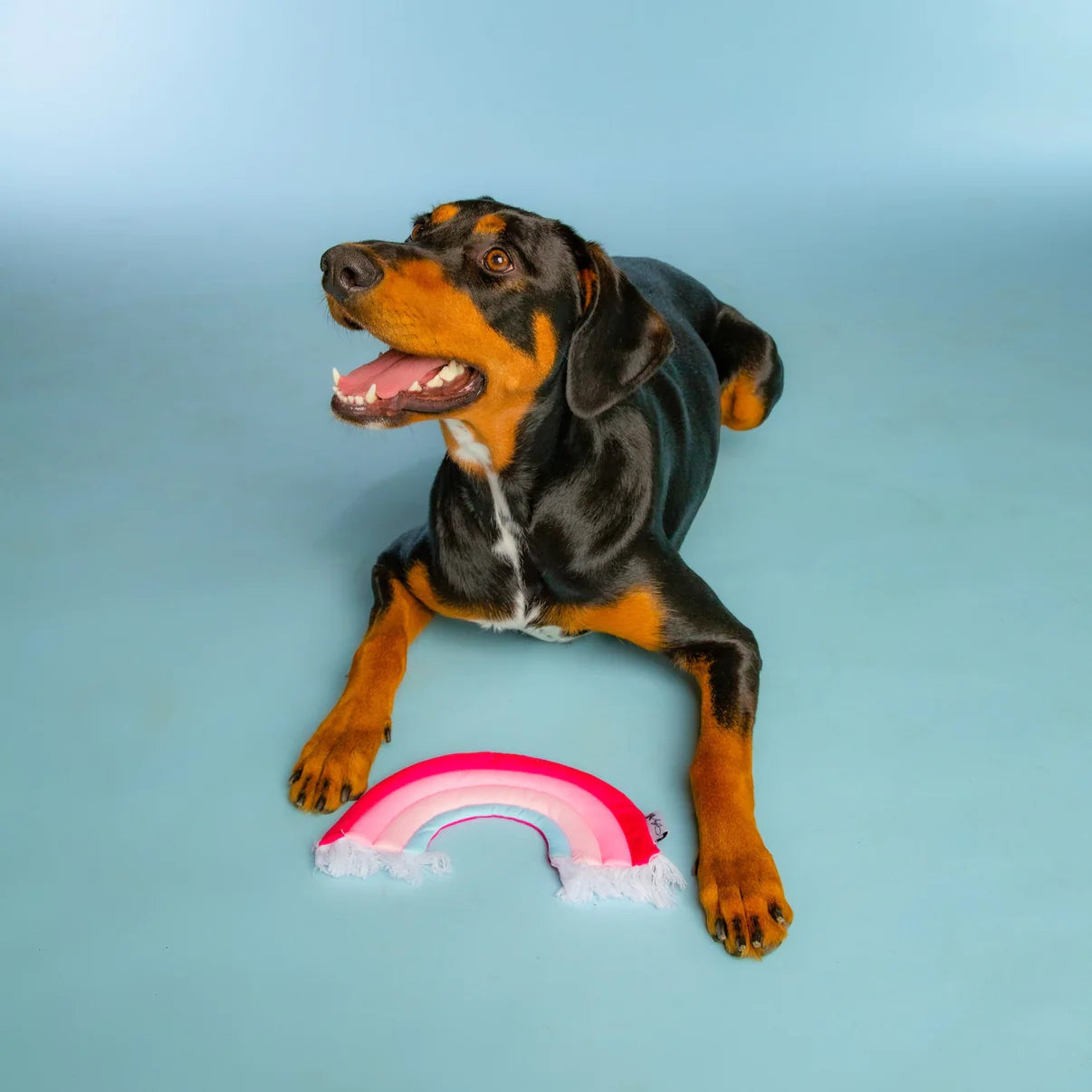 Doggy Parton - Rainbow Fringe Plush Crinkle Dog Toy