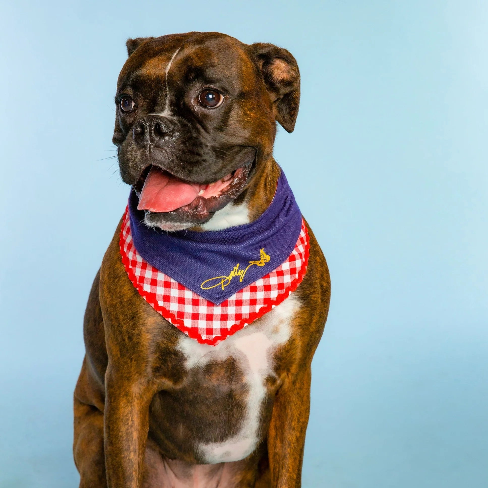 Doggy Parton - Blue Printed Denim & Gingham Print Bandana