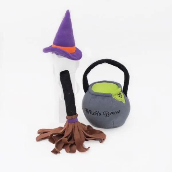 Halloween Costume Kit - Witch