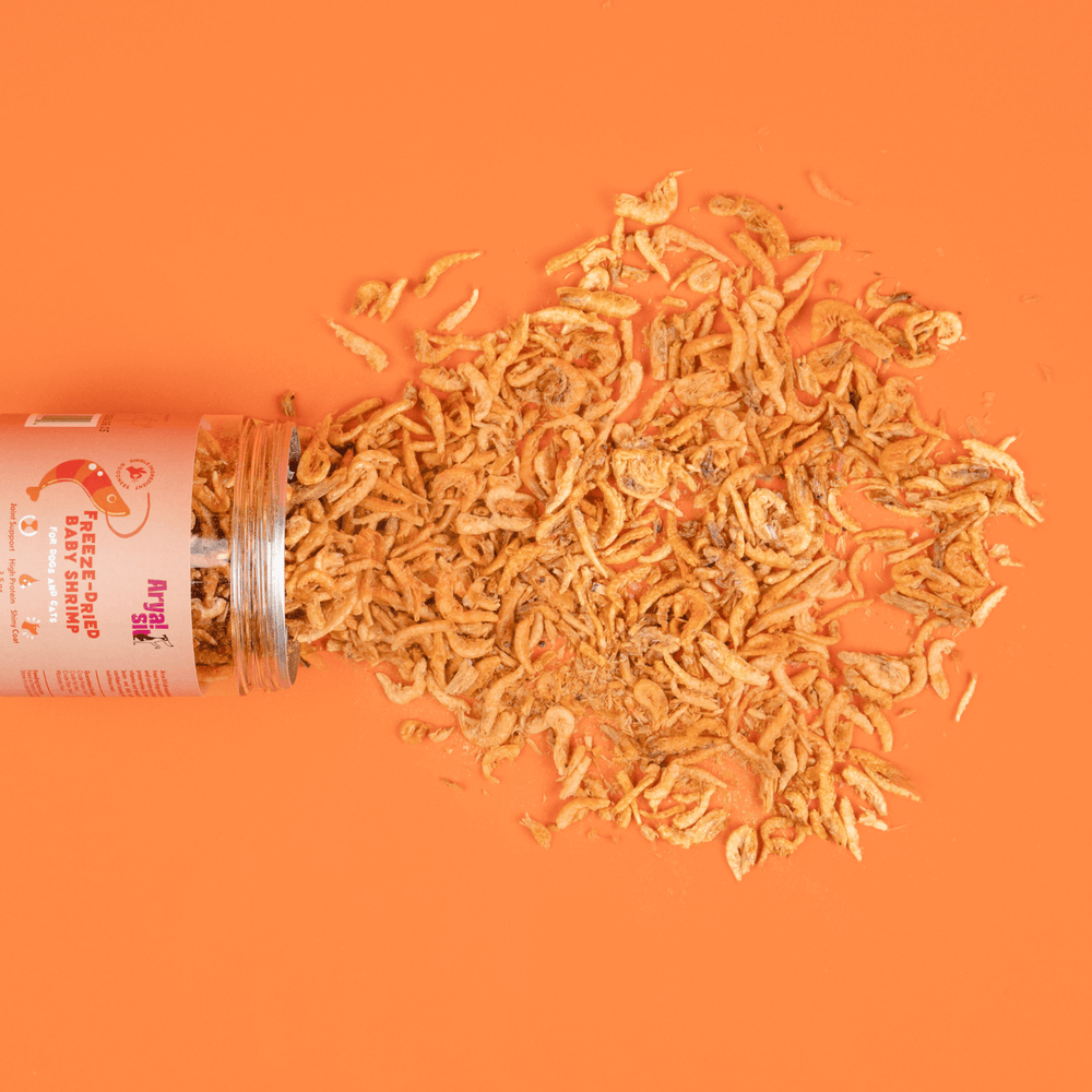 Products The Modern Dog Company Store