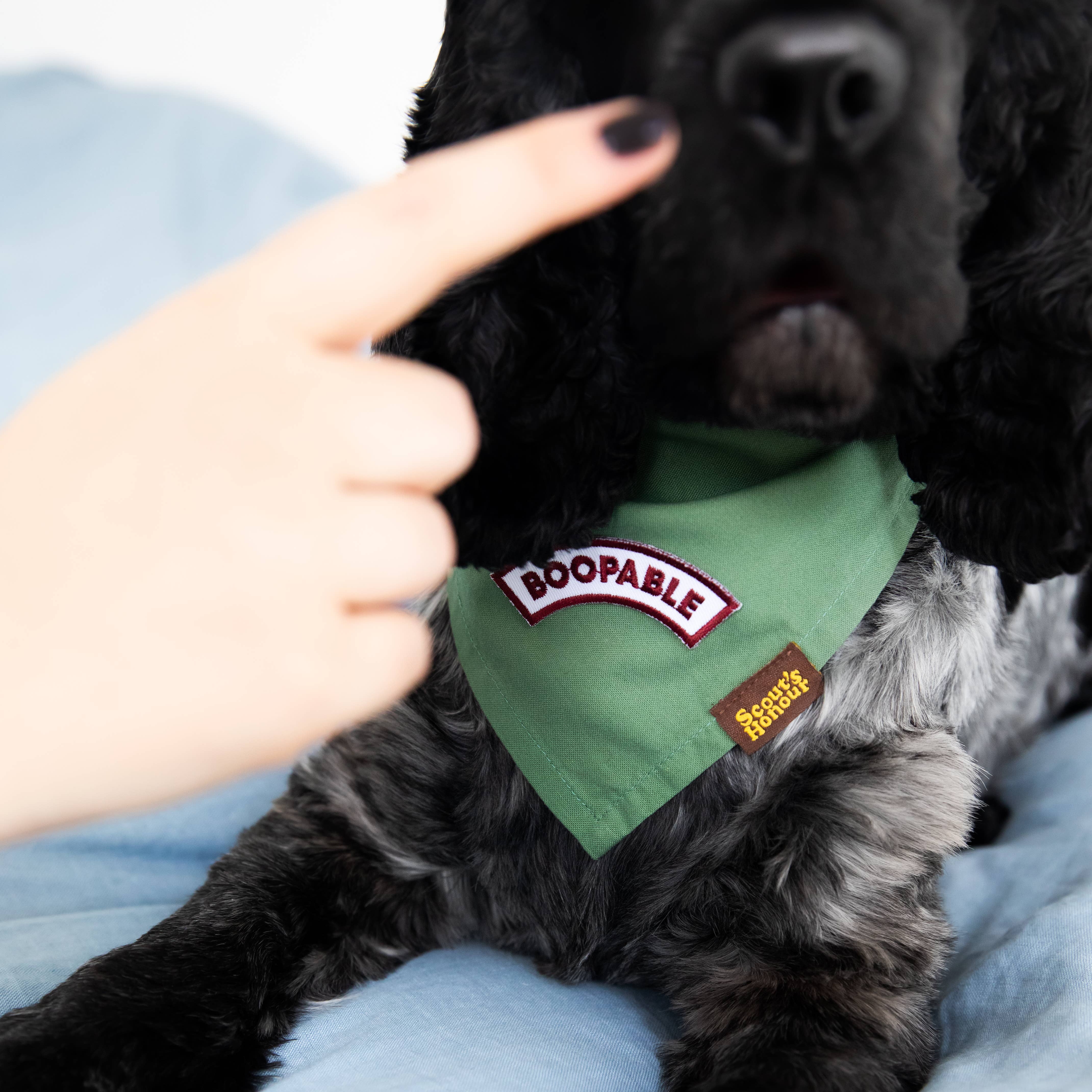 Scout's Honour - Boopable iron-on patch for dogs