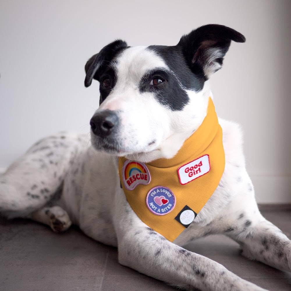 Scout's Honour - Good Girl iron-on patch for dogs