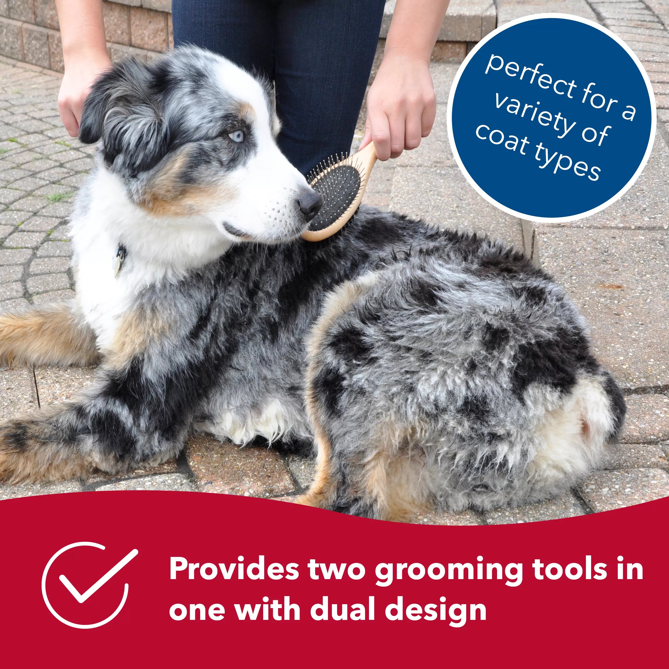 Safari combo online brush for dogs