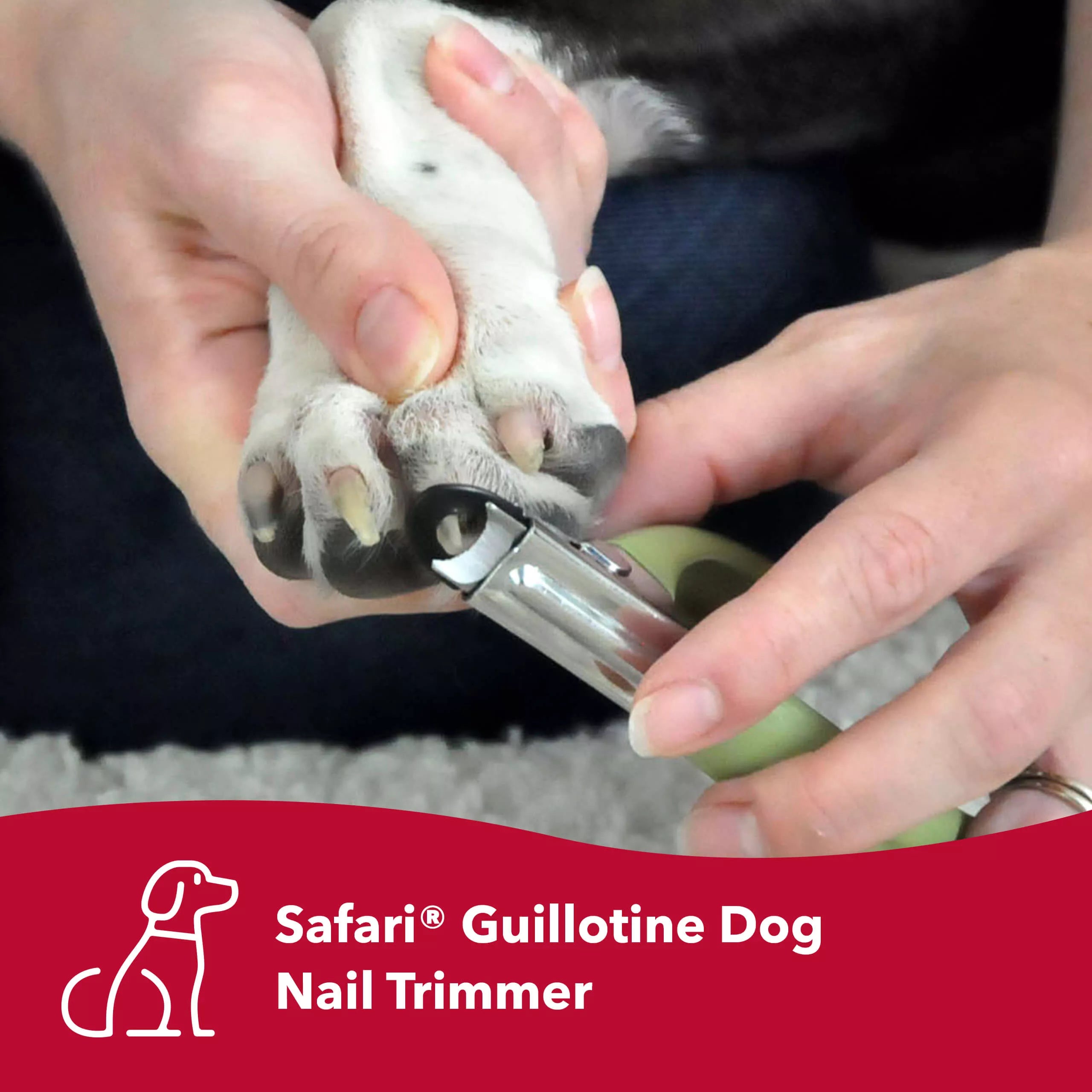 Safari Guillotine Nail Trimmer - Medium/Large