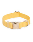 Sunny Tails Dandelion Yellow Waterproof Dog Collar