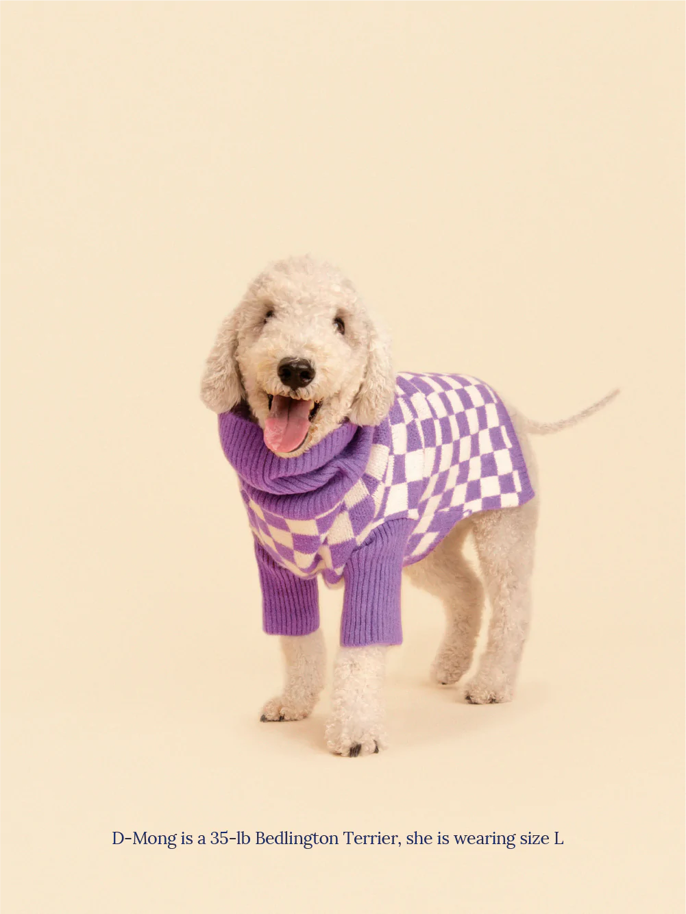 Little Beast Co. - Meet the Parents X Wray Sweater