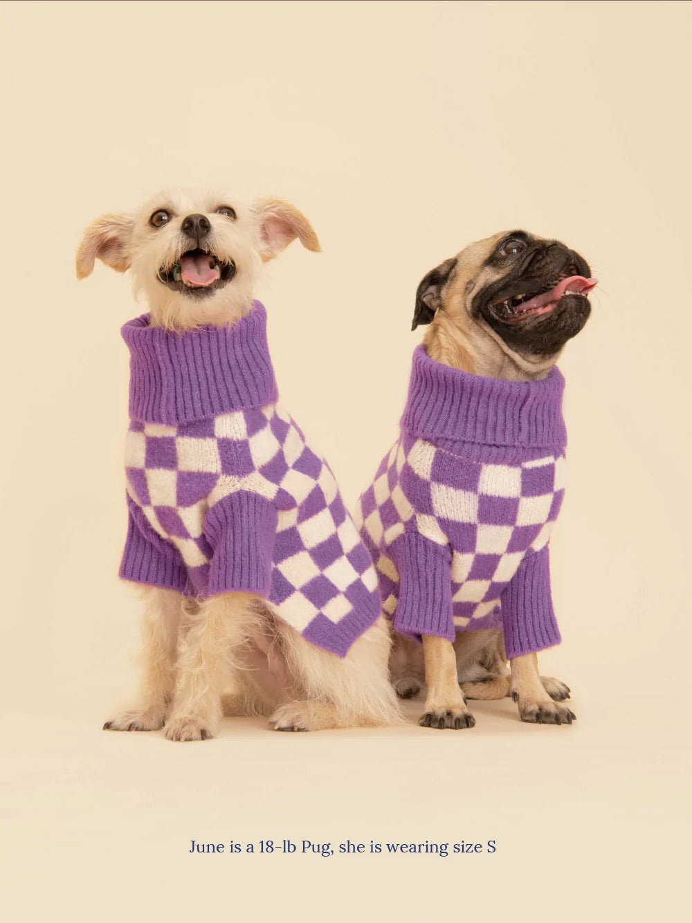 Little Beast Co. - Meet the Parents X Wray Sweater