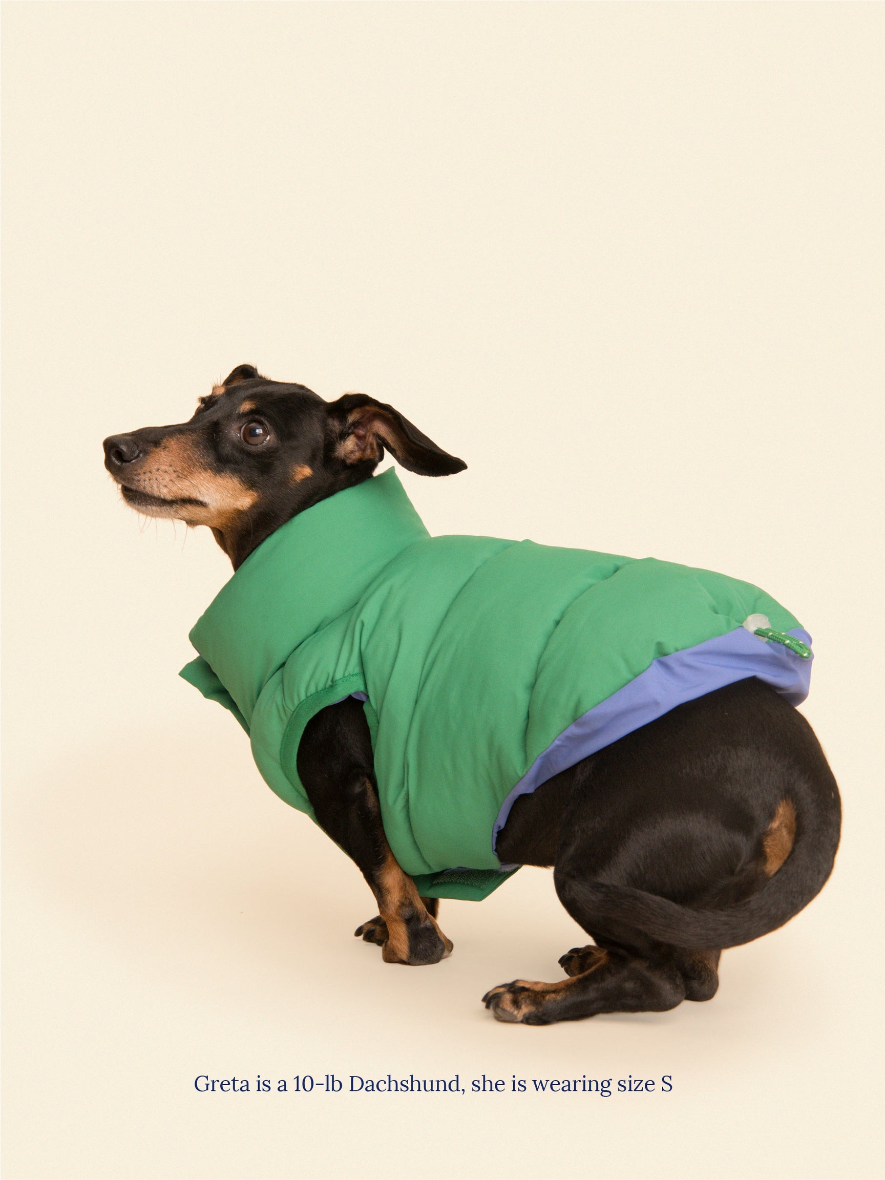 Little Beast Co.The Super Duper Reversible Parka Vest - Green & Blue
