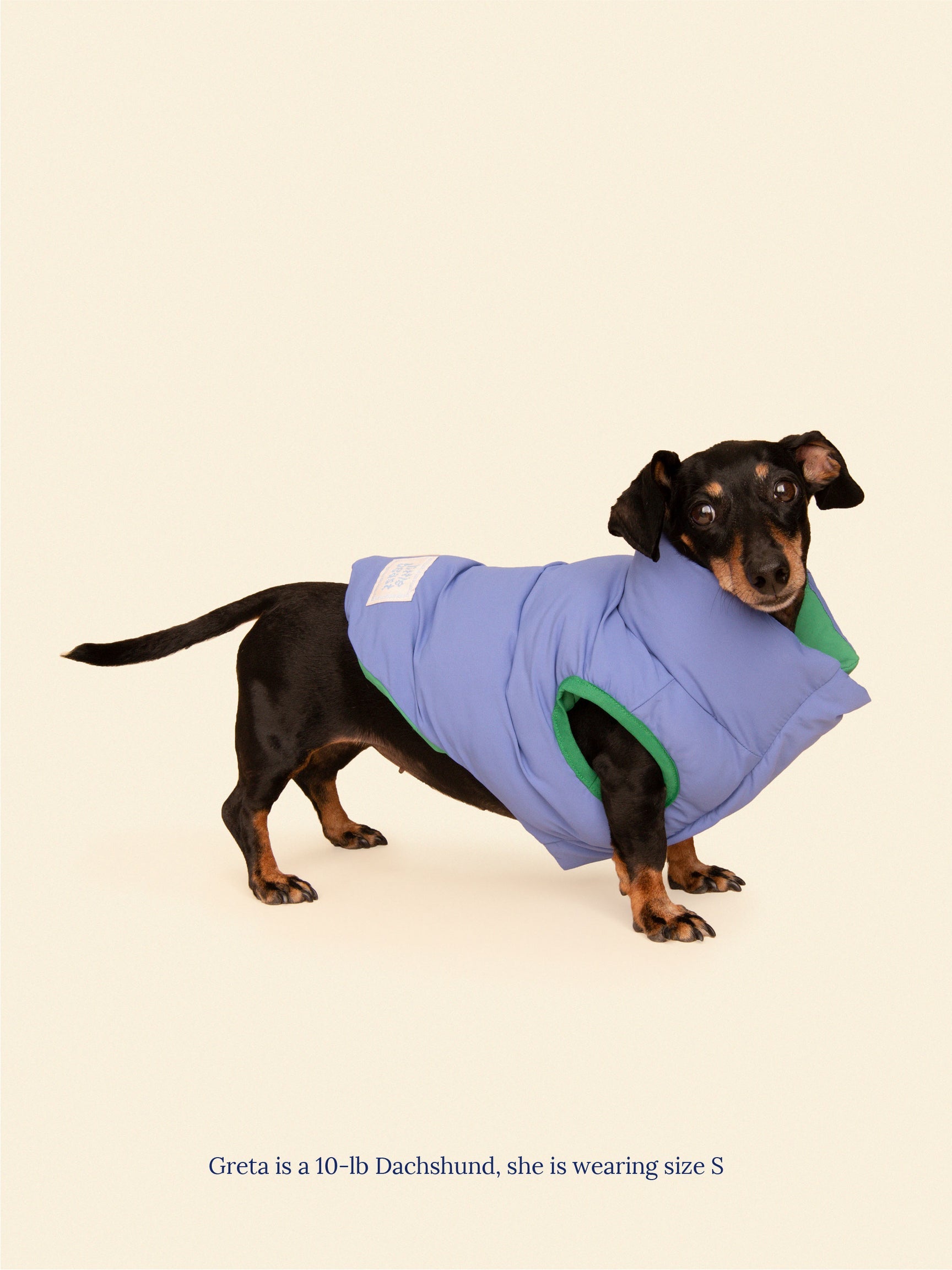 Little Beast Co.The Super Duper Reversible Parka Vest - Green & Blue