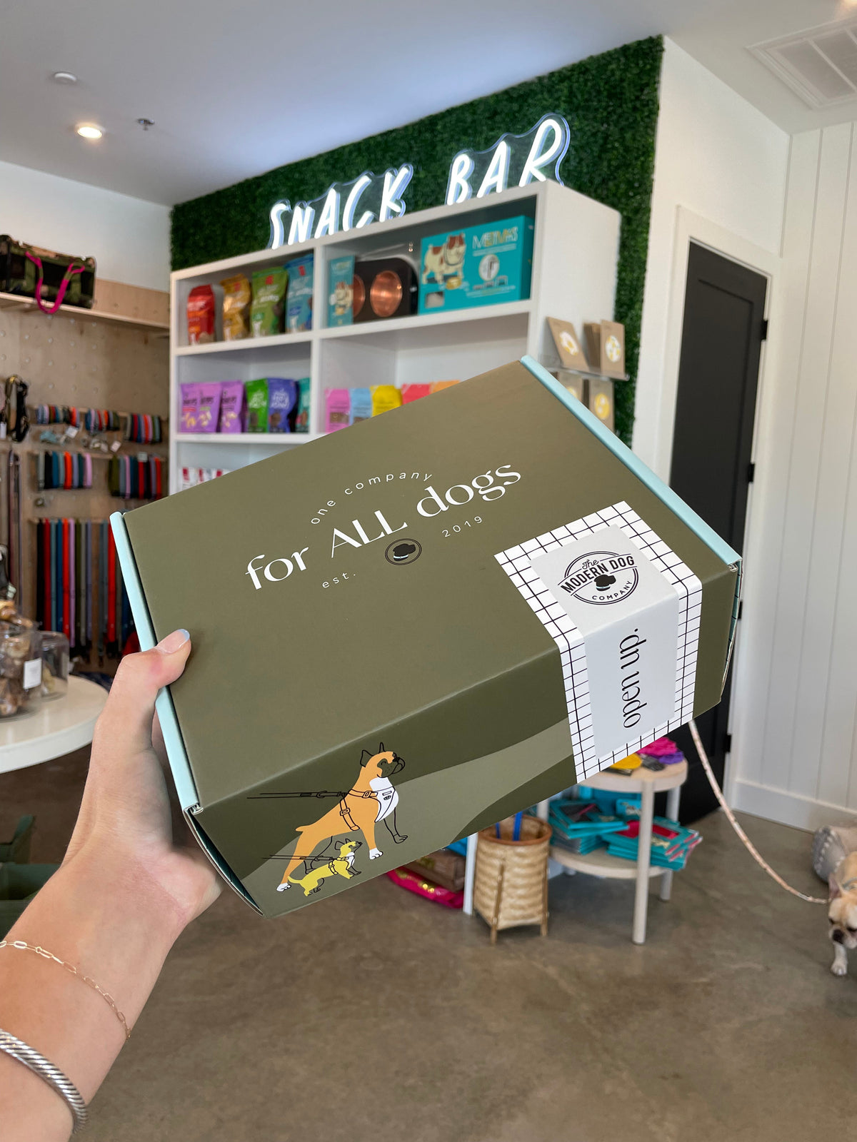 Subscription Box The Modern Dog Company Store